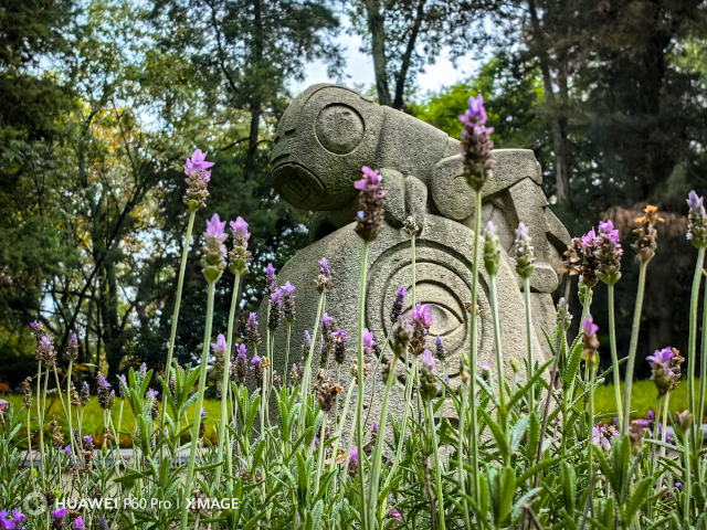 Newsline Report - Tecnologa - Retratan la belleza de Chapultepec con Huawei