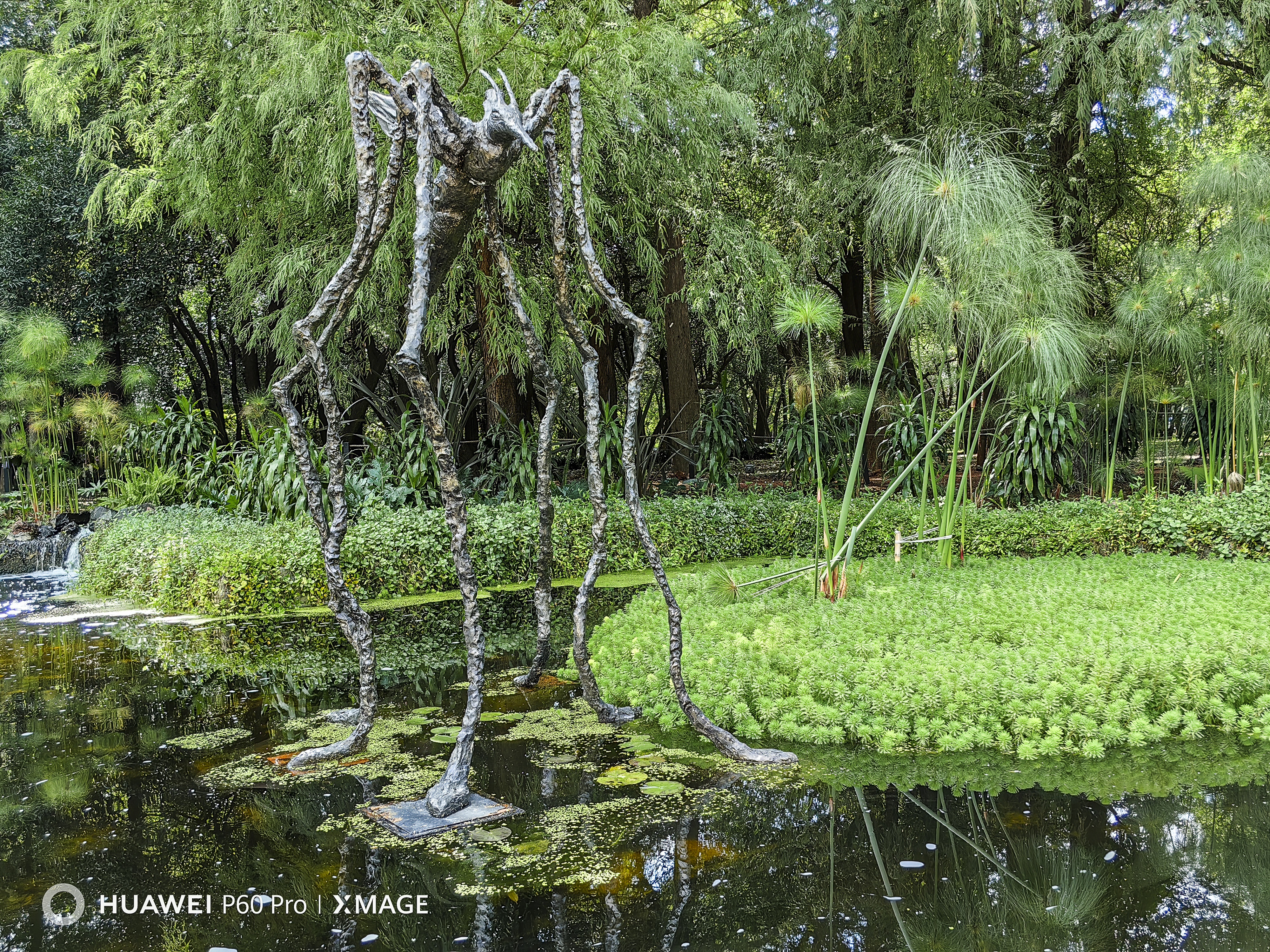 Newsline Report - Tecnologa - Retratan la belleza de Chapultepec con Huawei