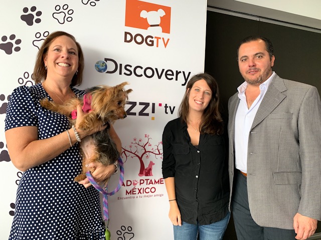 Newsline Report - Plataformas - Discovery:  'Con Izzi lanzaremos  DOGTV y Food Networks'