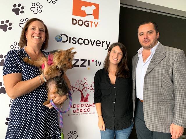 Discovery:  'Con Izzi lanzaremos  DOGTV y Food Networks'