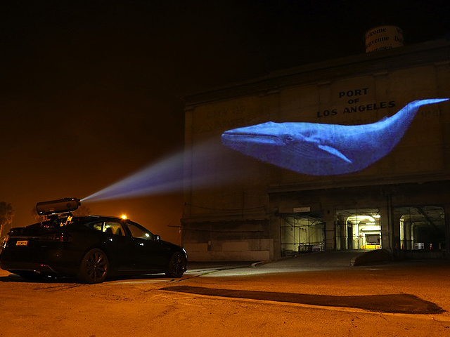 Discovery adquiere derechos globales de 'Racing Extinction'