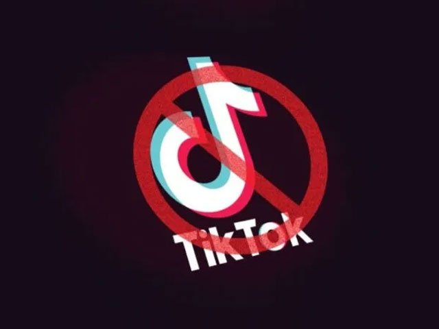 Estados Unidos prohibi las descargas de TikTok y WeChat