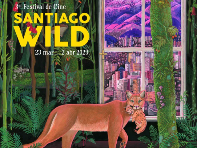 Festival de Cine Santiago Wild anuncia 20 finalistas