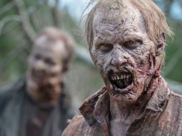 FOX emite las cinco temporadas completas de The Walking Dead