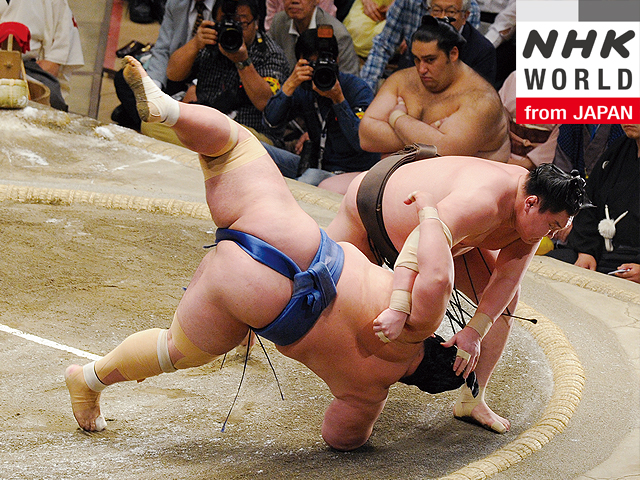 Newsline Report - Plataformas - Gran Sumo en NHK World TV