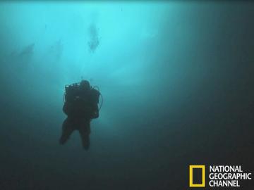 Nat Geo renueva su imagen en Amrica Latina