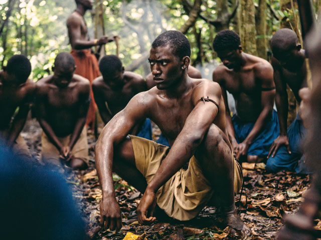 'Roots' alcanz los 220 territorios