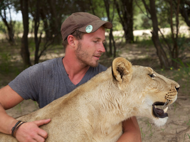 Newsline Report - Contenidos - 'Saving Sirga: Journey into the heart of a lion' llega a Animal Planet