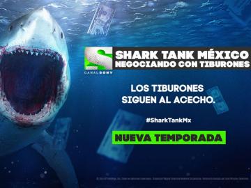 Se emitir nueva temporada de 'Shark Tank Mexico: Negociando con Tiburones'