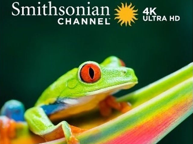 Smithsonian Channel desembarca en Brasil