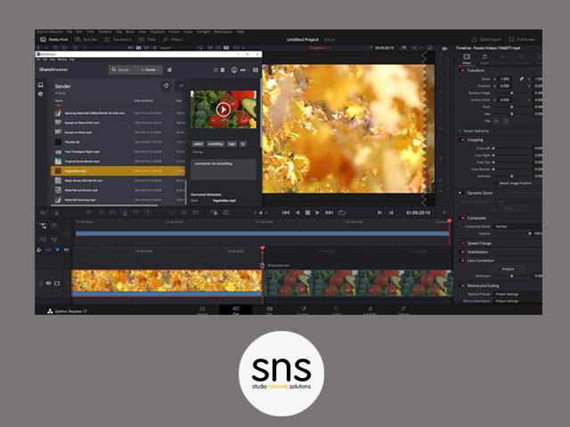 SNS lanza el complemento de ShareBrowser para DaVinci Resolve